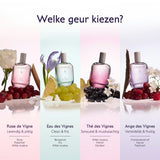 Caudalie Eau fraîche Ange des Vignes 50ml - Caudalie - Huidproducten.nl